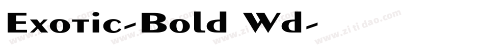 Exotic-Bold Wd字体转换